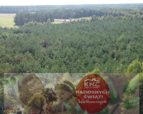 Dom na dużej działce w Świesielicach gm. Ciepielów