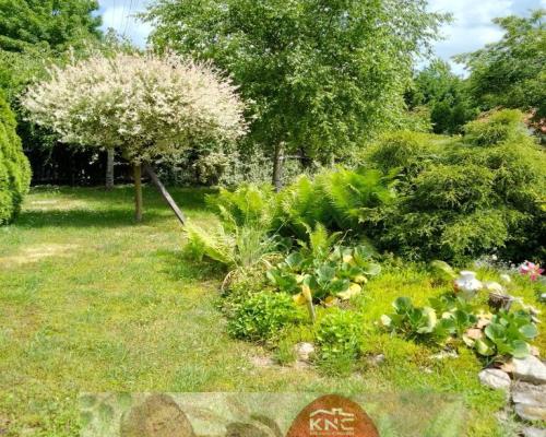 Siedlisko 44 a w Ożarowie gm. Jastków (lubelskie).