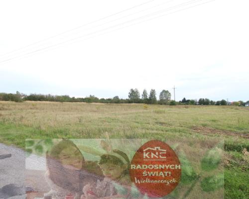 Działka 32ar budowlana w b. dobrej cenie Nowodwór