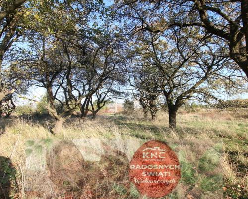 Działka budowlana 15 ar Kozioł g. Baranów