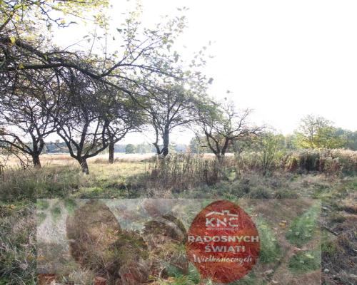 Działka budowlana 15 ar Kozioł g. Baranów