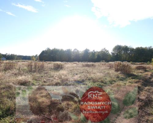 Działka budowlana 15 ar Kozioł g. Baranów
