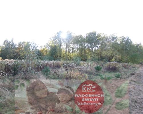 Działka budowlana 15 ar Kozioł g. Baranów