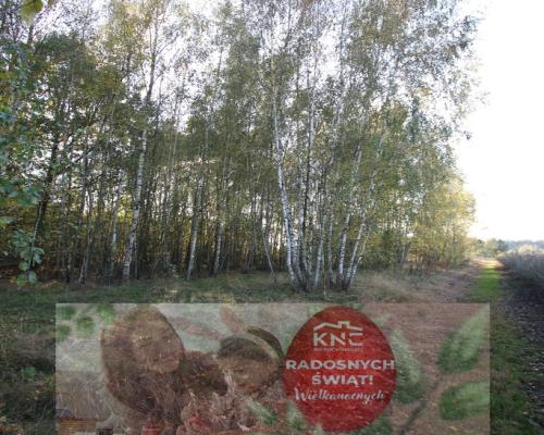 Działka budowlana 15 ar Kozioł g. Baranów