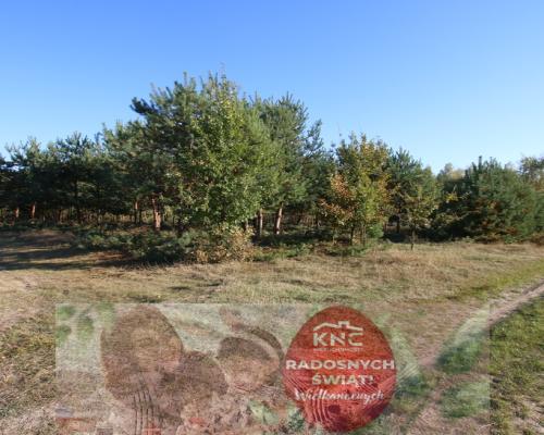 Działka budowlana 15 ar Kozioł g. Baranów