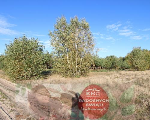 Działka budowlana 15 ar Kozioł g. Baranów