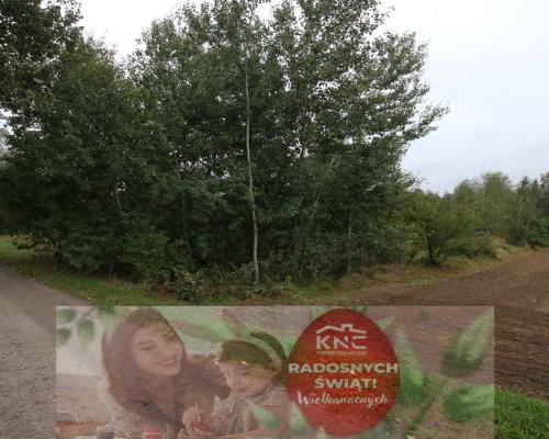 Działka budowlana ok.20 ar Gołąb g. Michów