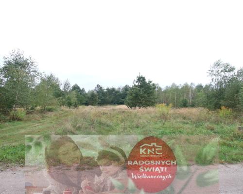 Działka budowlana ok.20 ar Gołąb g. Michów