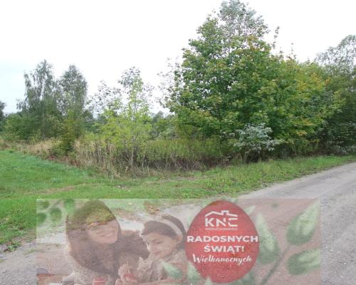 Działka budowlana ok.20 ar Gołąb g. Michów