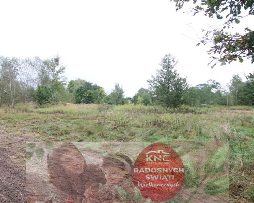 Działka budowlana ok.20 ar Gołąb g. Michów