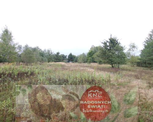 Działka budowlana ok.20 ar Gołąb g. Michów