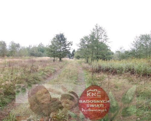 Działka budowlana ok.20 ar Gołąb g. Michów