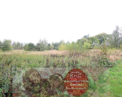 Działka budowlana ok.20 ar Gołąb g. Michów