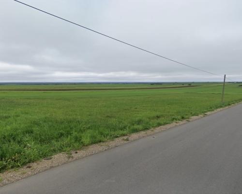 Cynków, ul. Graniczna | Działka na sprzedaż