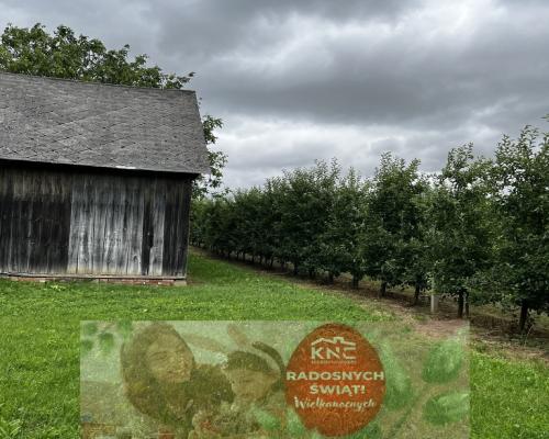 Kazimierz Dolny - dom po remoncie