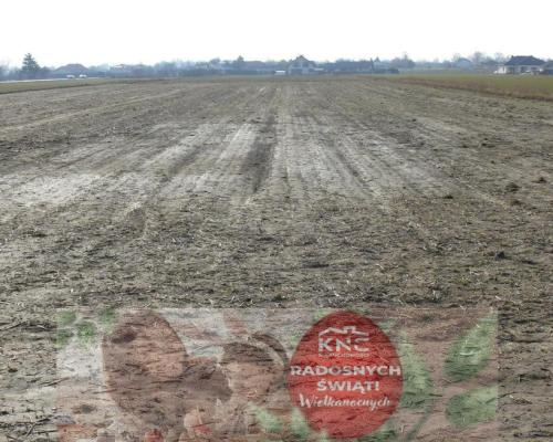 46,3arDZIAŁKA INWESTYCYJNA!!!