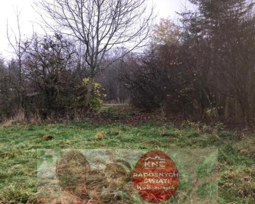 Anielpol - działka  5200m2