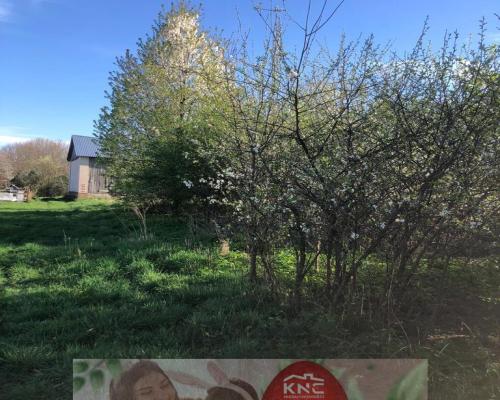 Anielpol - działka  5200m2