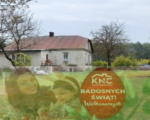 Siedlisko - spokojna wieś w przepięknej okolicy!