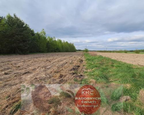 Siedlisko - spokojna wieś w przepięknej okolicy!
