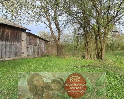 Siedlisko - spokojna wieś w przepięknej okolicy!