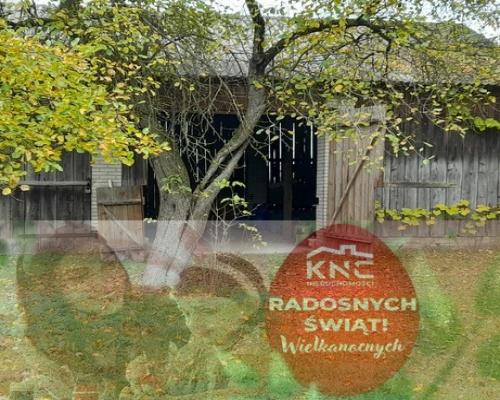 Siedlisko - spokojna wieś w przepięknej okolicy!