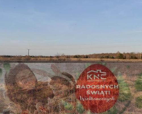 Siedlisko - spokojna wieś w przepięknej okolicy!