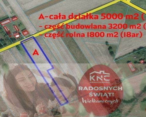 Działka rolno-budowalana Brzostówka g. Serniki 50a