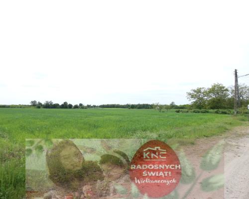 Działka rolno-budowalana Brzostówka g. Serniki 50a