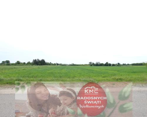 Działka rolno-budowalana Brzostówka g. Serniki 50a