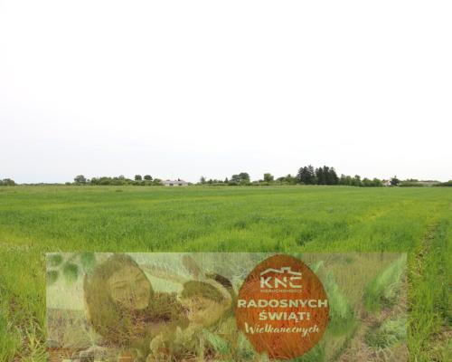 Działka rolno-budowalana Brzostówka g. Serniki 50a