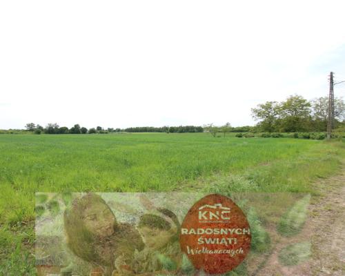 Działka rolno-budowalana Brzostówka g. Serniki 50a