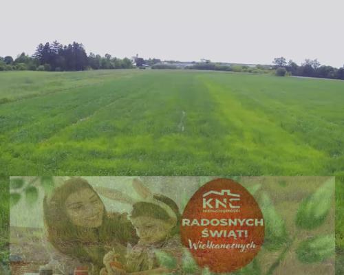 Działka rolno-budowalana Brzostówka g. Serniki 50a