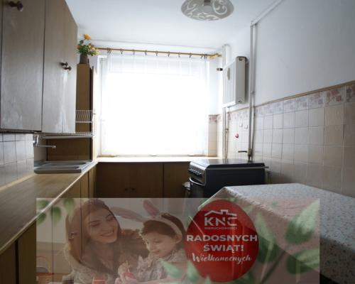 Mieszkanie (55 m2) w znakomitej lokalizacji - LSM