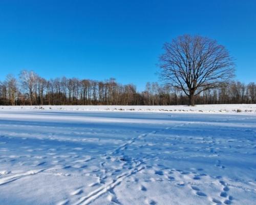 Piękna działka rolno-budowlana, Żminne, Parczew.