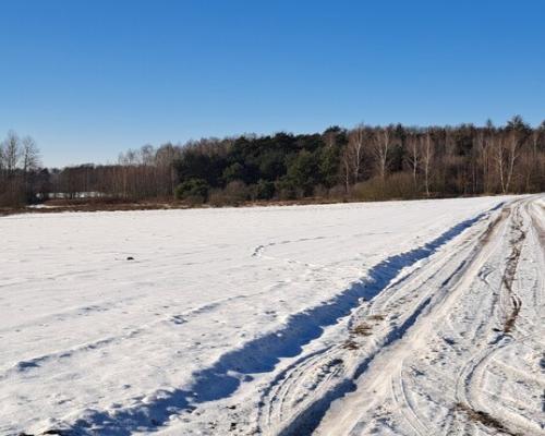 Piękna działka rolno-budowlana, Żminne, Parczew.