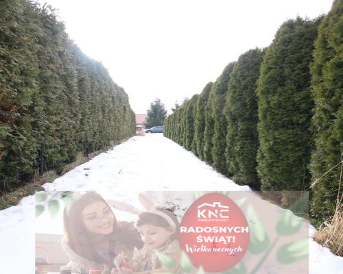 Działka budowlana Turka 18a (tylko 8km do Lublina)