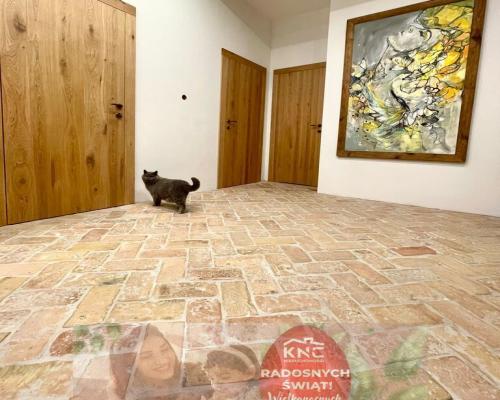 Dom z pasją (Kijany/Spiczyn)