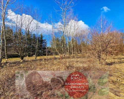 Działka z doskonałym dojazdem do Lublina