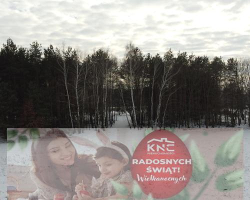 Działka rolno-budowlana w Kośminie gm. Żyrzyn.