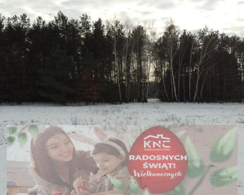 Działka rolno-budowlana w Kośminie gm. Żyrzyn.