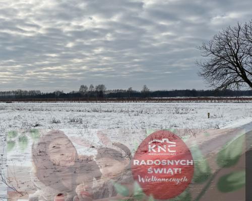 Działka rolno-budowlana w Kośminie gm. Żyrzyn.