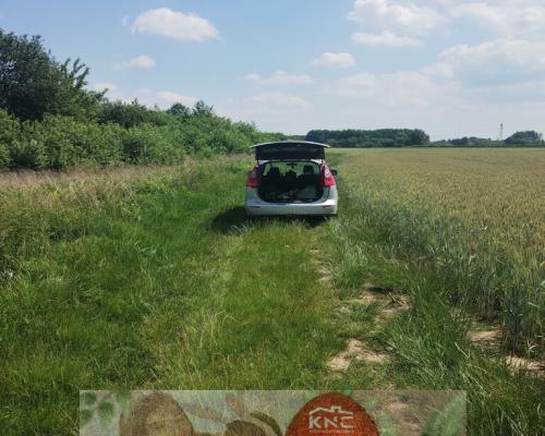 W pobliżu stawu Borowiec-malownicza części m.Gołąb