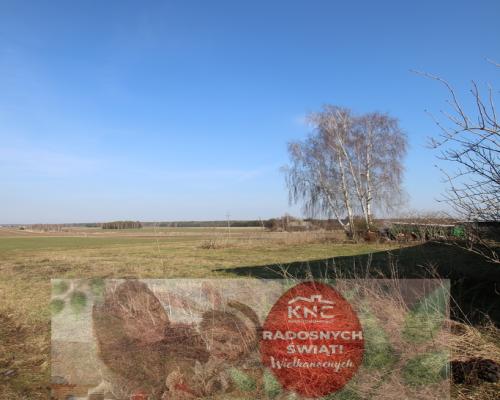 Działka budowlana 55a Nowa Wieś (Lubartów 10km)