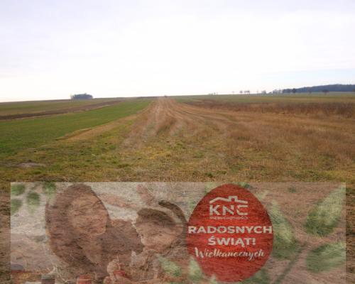 3 działki o łącznej powierzchni 2.4 ha, Borzechów