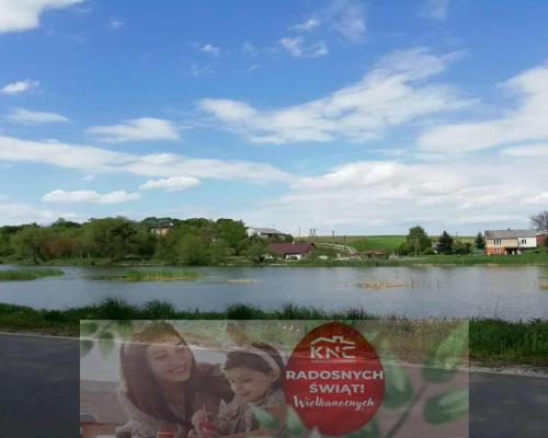 Działka o pow. 4,6 ha w Klementowicach gm. Kurów.