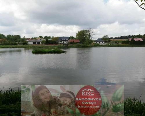 Działka o pow. 4,6 ha w Klementowicach gm. Kurów.