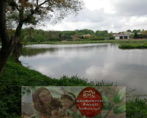 Działka o pow. 4,6 ha w Klementowicach gm. Kurów.