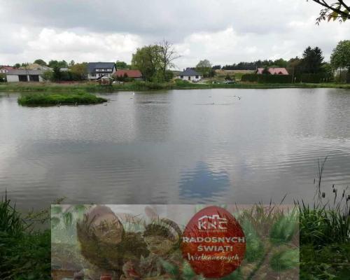 Działka o pow. 4,6 ha w Klementowicach gm. Kurów.