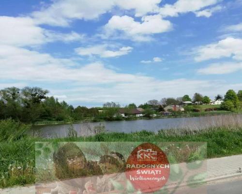 Działka o pow. 4,6 ha w Klementowicach gm. Kurów.